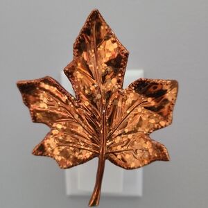 Used BBW Sparkling Gold Leaf fragrance plug-in.